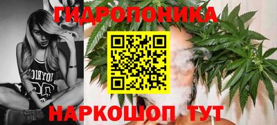гашик Изобильный