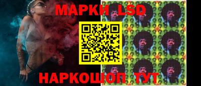 прущие грибы Ирбит