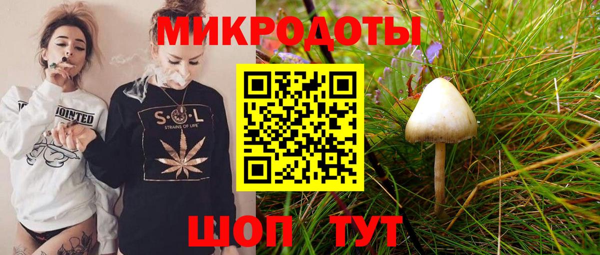 Псилоцибиновые грибы GOLDEN TEACHER Омск