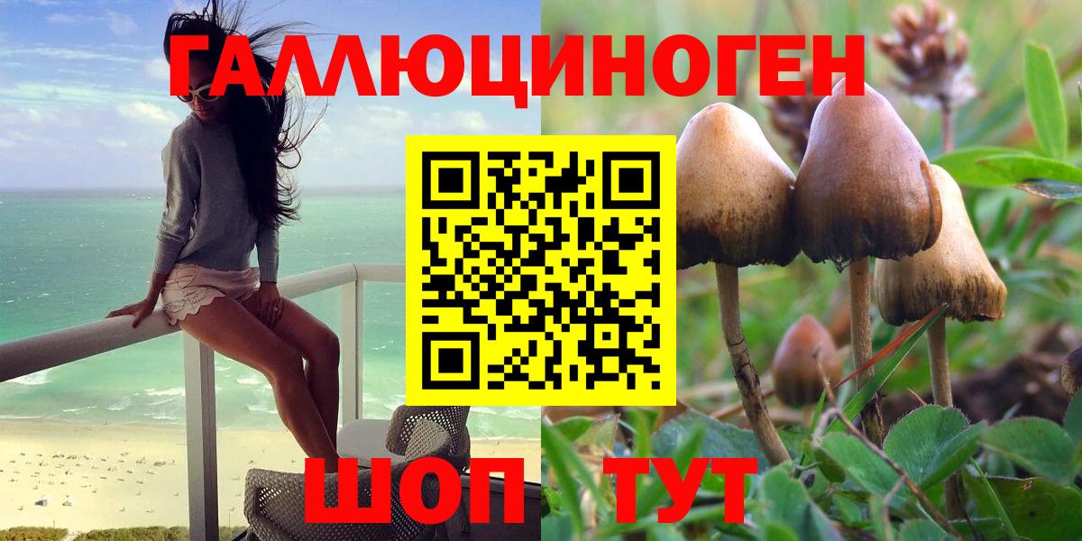 Омск  Псилоцибиновые грибы ЛСД  Вход с VPN 